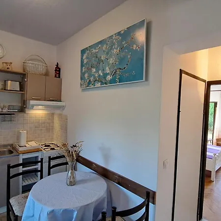 Apartmani Franceschi Antun Poreč Exterior foto