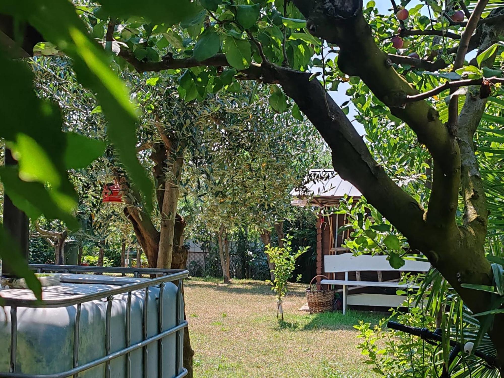 Apartment Franceschi Antun Poreč